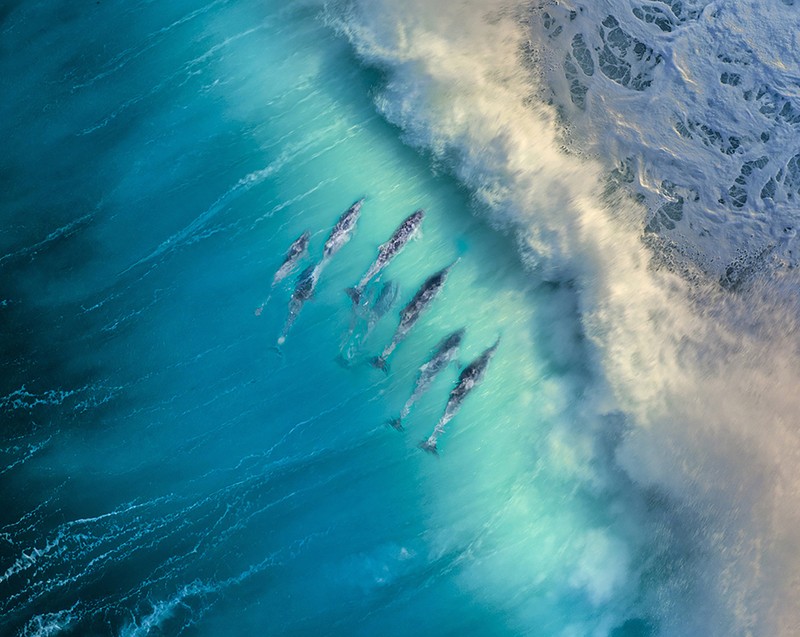 Ocean Photography Awards 2021