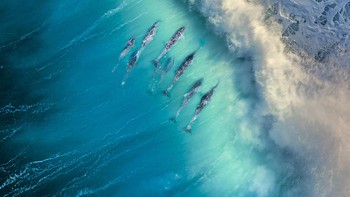 Karya Michael Haluwana di kategori Community Choice. Foto: Ocean Photography Awards