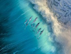 Karya Finalis Ocean Photography Awards 2021 Bikin Merinding