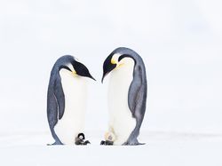 Karya Finalis Ocean Photography Awards 2021 Bikin Merinding