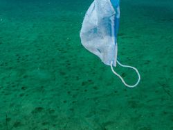 Karya Finalis Ocean Photography Awards 2021 Bikin Merinding