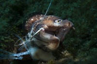 Ocean Photography Awards 2021