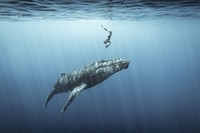 Ocean Photography Awards 2021