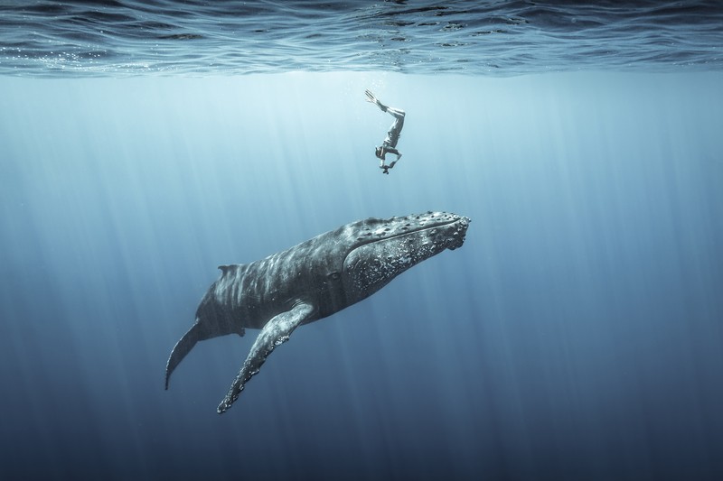 Ocean Photography Awards 2021