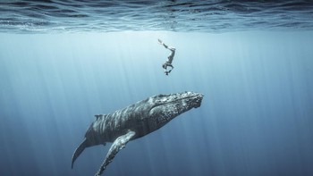 Karya Sebastien Pontoizeau di kategori Adventure Foto: Ocean Photography Awards