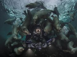 Karya Finalis Ocean Photography Awards 2021 Bikin Merinding