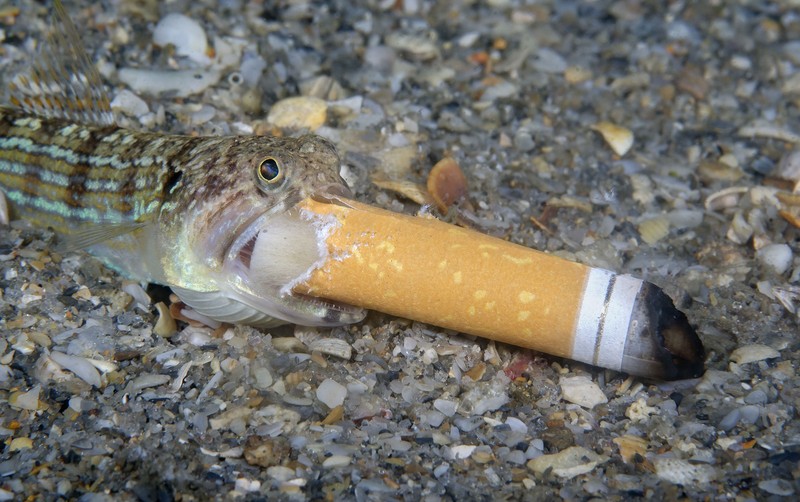 Ocean Photography Awards 2021