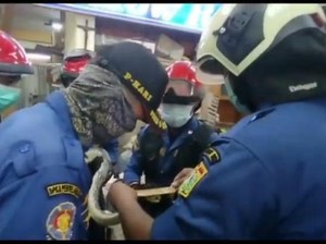 Ular Piton Sepanjang 3 Meter Muncul di Gudang Toko Jaktim