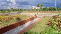 Taman taman yang indah dan menyejukkan mata.