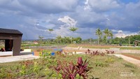 Tempat duduk di samping taman untuk beristirahat.