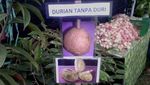 Bikin Kesal! 10 Buah Ini Zonk saat Dikupas