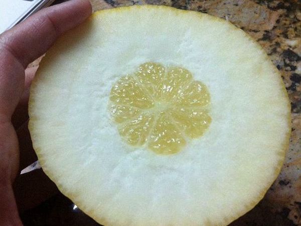 Bikin Kesal! 10 Buah Ini Zonk saat Dikupas