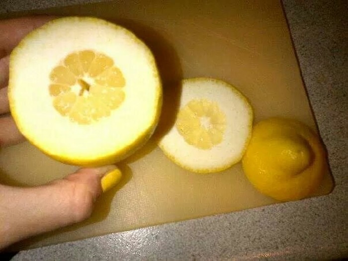 Bikin Kesal! 10 Buah Ini Zonk saat Dikupas