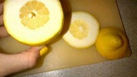 Zonk buah lagi untuk lemon, lagi-lagi lemon satu ini tak bisa diperaskarena daging buahnya yang sedikit. Jangankan air lemon, jeruk ini terlihathanya bagian kulit putih saja. Foto : Reddit/@midlyinfuriating