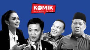 Bola Panas Buka-bukaan Krisdayanti Soal Gaji DPR