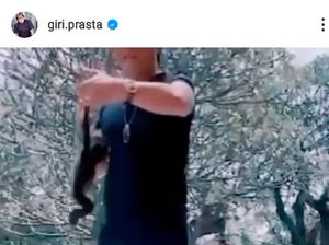 Usai Ramai Dikecam, Bupati Badung Serahkan Owa Siamang ke BKSDA
