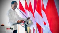 Jokowi melanjutkan pembangunan pabrik ini merupakan wujud keseriusan pemerintah dalam melakukan hilirisasi di industri.