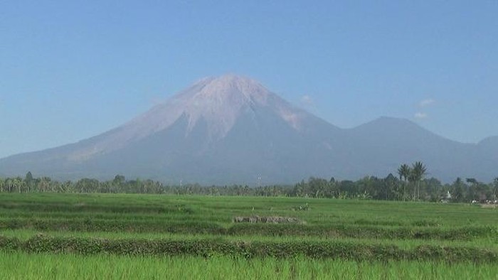 gunung semeru kembali mengelurkan guguran lava pijar sebanyak empat kali