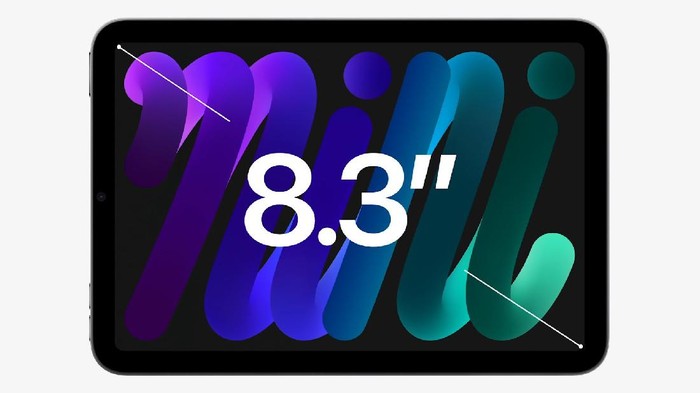 iPad Mini