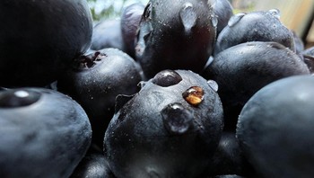 Ini contoh hasilnya. Foto: Apple