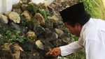 Ngeri, Sekolah di Banyuwangi Ini Jadi Sarang King Kobra
