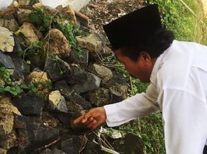 Kagetnya Penjaga Sekolah Lihat King Kobra Berdiri hingga Ular pun Sama-sama Lari