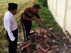 Musim Hujan Tiba, Waspada King Kobra Bertelur di Sekolah hingga Rumah
