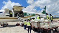 Memiliki nama lengkap PT Rimbun Abadi Aviasi, maskapai berada di bawah induk usaha PT Menara Grand Papua dan didirikan pada tahun 2018.