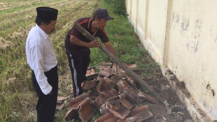 ular kobra di sekolah di banyuwangi