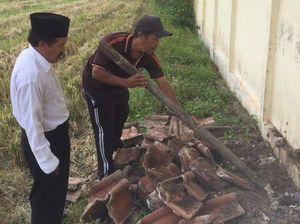 Ngeri Banget, Sekolah di Banyuwangi Ini Jadi Sarang Ular King Kobra