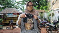 Vaksinasi ini juga bisa memberikan kekebalan tubuh dan melindungi hewan peliharaan dari beberapa penyakit tertentu.