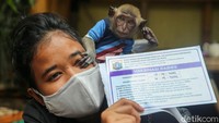 Seorang pemilik dan hewan peliharaannya memamerkan kartu vaksinasi anti rabies.