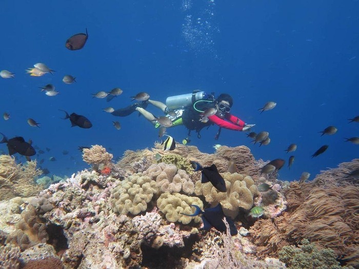 Wakatobi Drive Trip