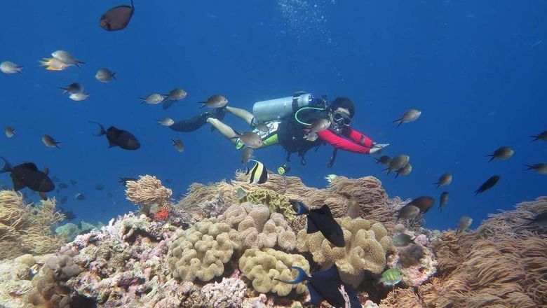 Wakatobi Drive Trip Wakatobi Drive Trip