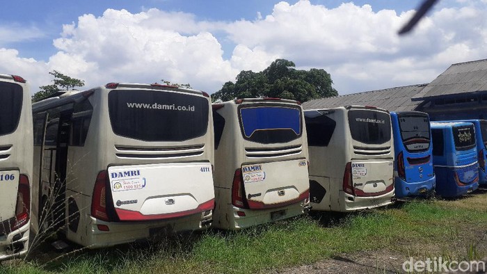 Bus DAMRI di Bandung.