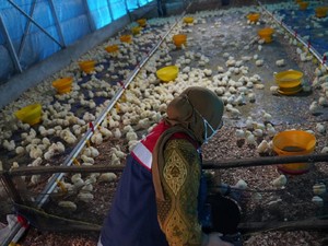 Hutama Karya Beri Bantuan Total Rp 250 Juta ke Pesantren di Riau