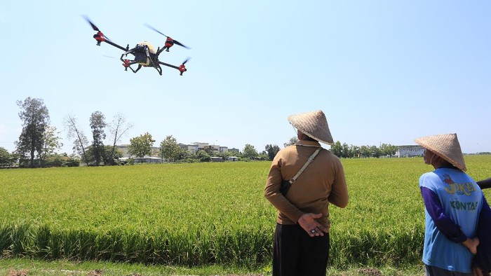 Petani melihat pesawat tanpa awak (Drone) yang digunakan untuk menyemprotkan cairan pestisida di areal sawah desa Krangkeng, Kecamatan Krangkeng, Indramayu, Jawa Barat, Kamis (16/9/2021). Pemerintah kecamatan setempat melakukan uji coba penggunaan drone untuk membantu mengurangi beban para petani dan meningkatkan efisiensi pertanian. ANTARA FOTO/Dedhez Anggara/foc.