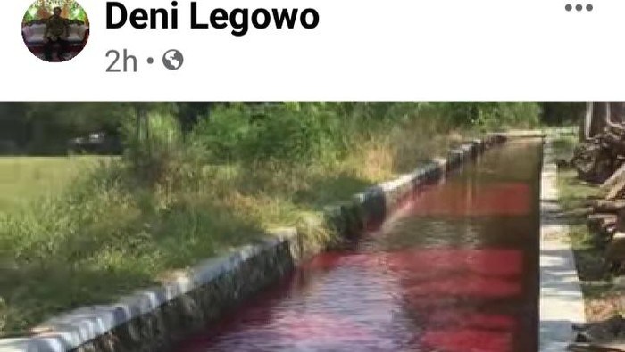 Saluran irigasi di Klaten jadi merah darah, Kamis (16/9/2021).