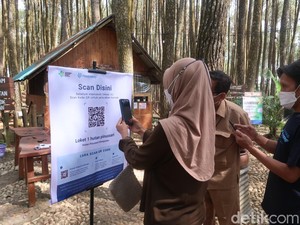 4 Arti Warna di PeduliLindungi Saat Scan QR Code, Wajib Tahu!
