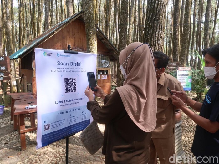 4 Arti Warna di PeduliLindungi Saat Scan QR Code, Wajib Tahu!