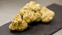 Truffle merupakan salah satu jenis jamur yang cukup mahal. Nah biasanya truffle berwarna hitam, sedangkan ini adalah truffle putih. Untuk mengembangkan truffle putih perlu kondisi yang sangat spesifik serta metode khusus untuk melestarikannya. Hasilnya truffle putih ini memiliki rasa dan aroma yang luar biasa. Di Eropa, 1 kg truffle putih sekitar US$ 2.100 atau setara Rp 29,8 juta. Foto: Dok. korrespondent.net