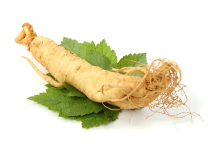 ginseng ginseng