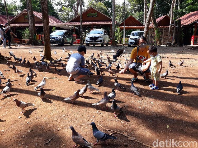 Anak di Bawah 12 Tahun Dilarang Masuk Obwis, Pengelola: Main Burung Saja
