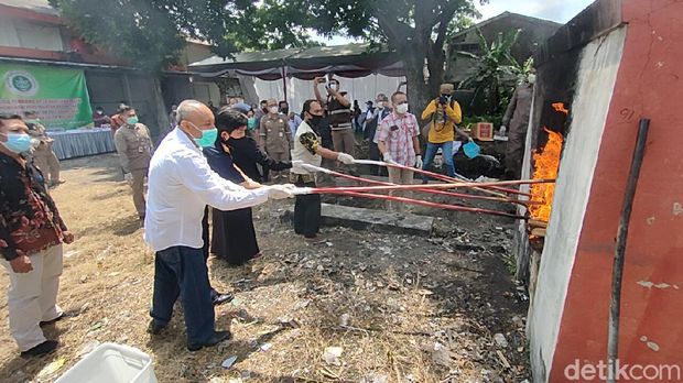 pemusnahan benih karantina surabaya