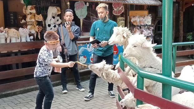 Petting Zoo di Farm House Susu Lembang. Foto: (Putu Intan/detikcom) Petting Zoo di Farm House Susu Lembang. Foto: (Putu Intan/detikcom)