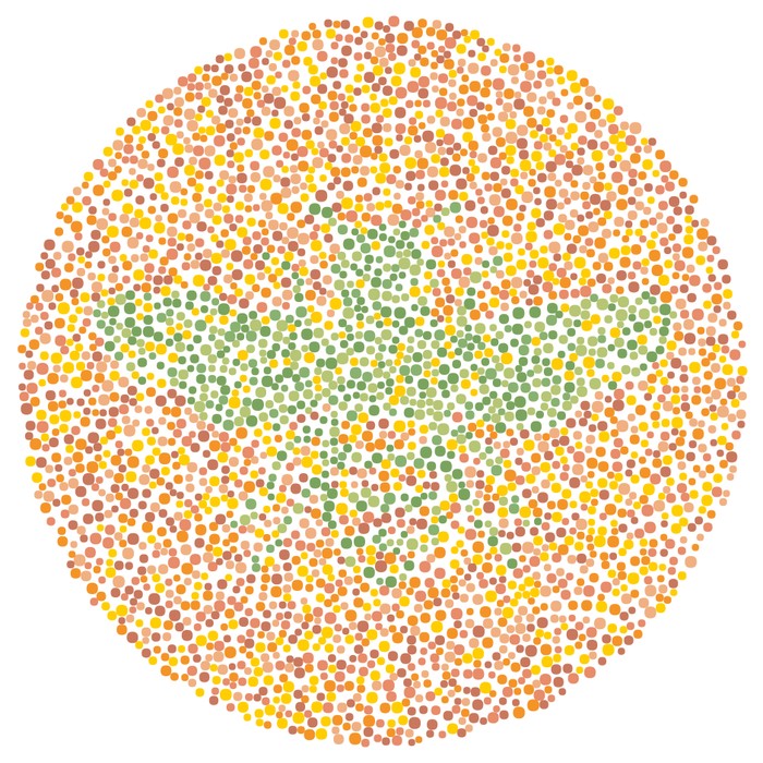 Tes Buta Warna, Bisakah Tebak Semua Hewan dalam Gambar Ini?