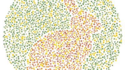 Tes Buta Warna, Bisakah Tebak Semua Hewan dalam Gambar Ini?