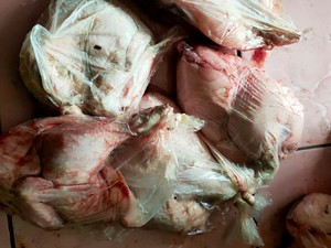 Dinsos Bandung Barat Selidiki Sembako Ayam-Telur Busuk