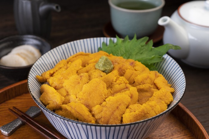 5 Makanan Eksotis Ini Ternyata Halal, Bulu Babi hingga Daging Kuda
