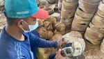 Foto: Desa di Blora yang Disebut Texas-nya Indonesia